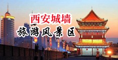 少妇被老头添到高潮的视频中国陕西-西安城墙旅游风景区