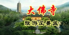 大鸡巴操死我了视频中国浙江-新昌大佛寺旅游风景区